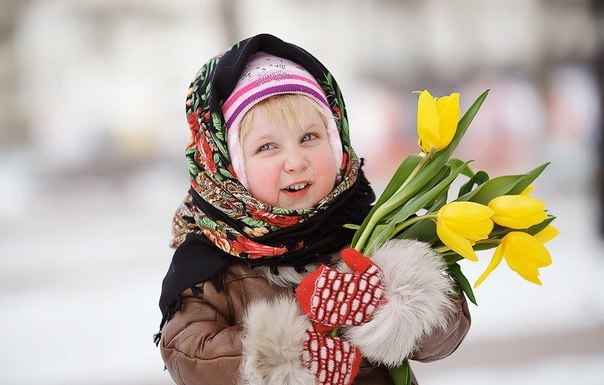 желтые тюльпаны желтые тюльпаны