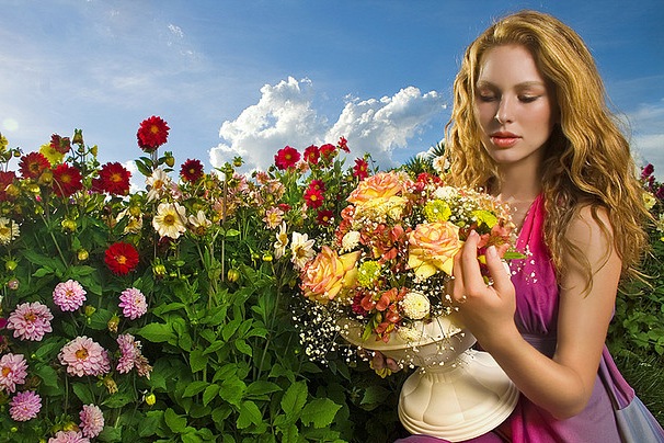 цветы цветы