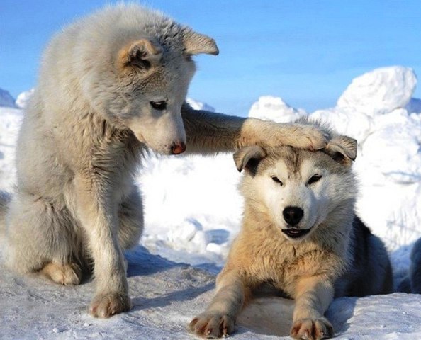 доброта доброта