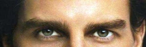 Брови Брови