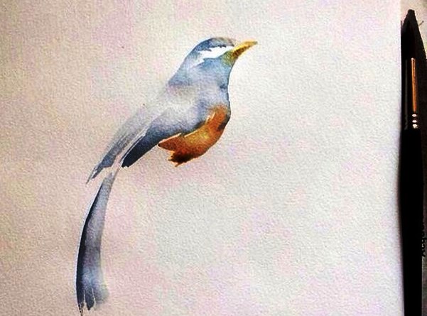 Рисунок акварелью Рисунок акварелью