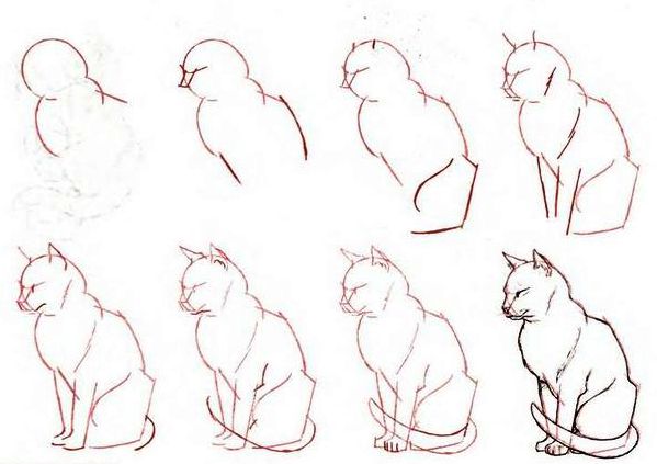 Рисунок кошки, которая немного вздремнула Рисунок кошки, которая немного вздремнула