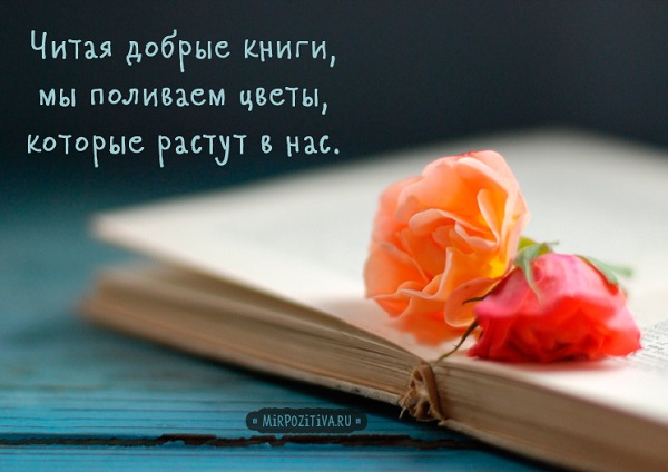 Цитата о книге Цитата о книге